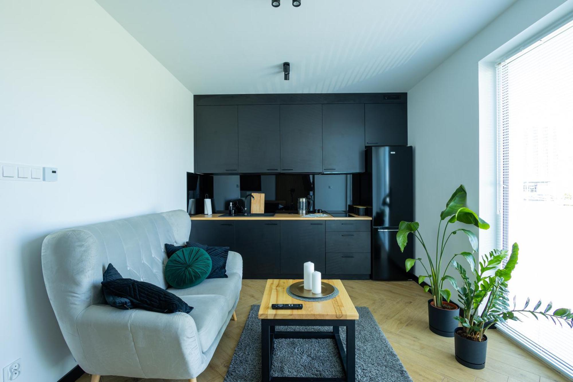 Apartment Vip
